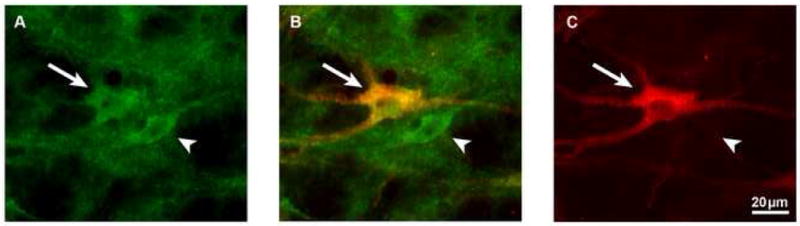 Fig. 3