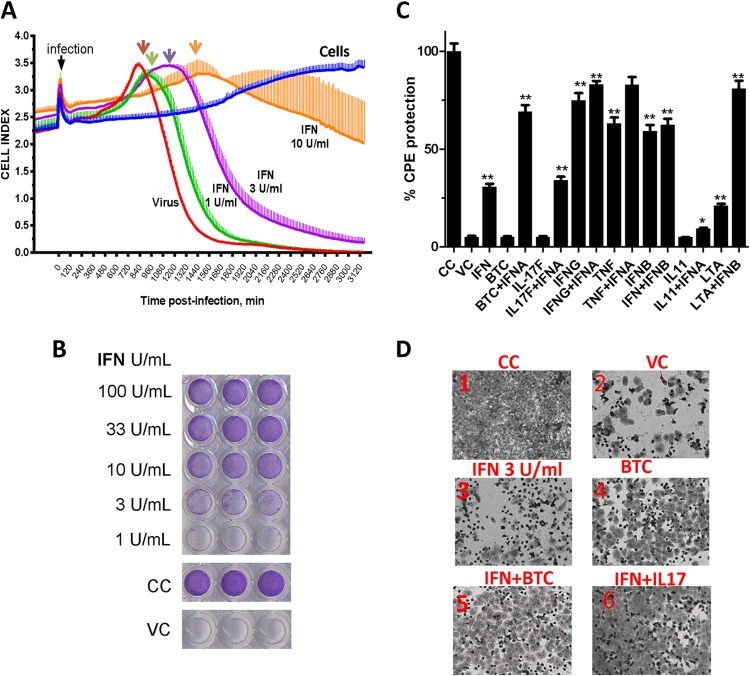 FIG 6