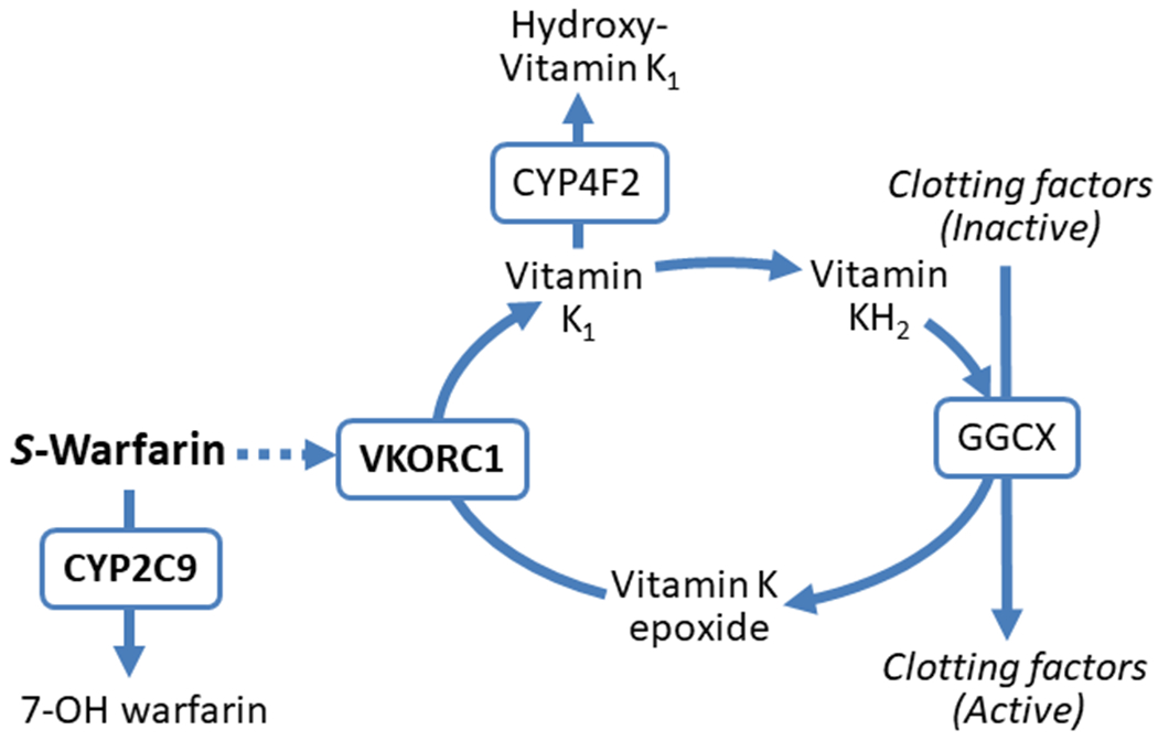 Fig. 3 |