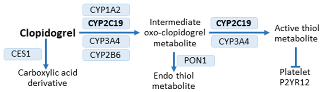 Fig. 2 |