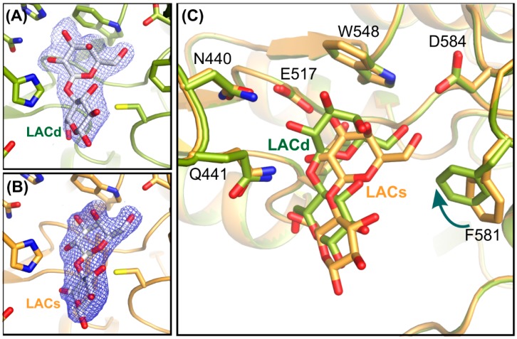 Figure 6