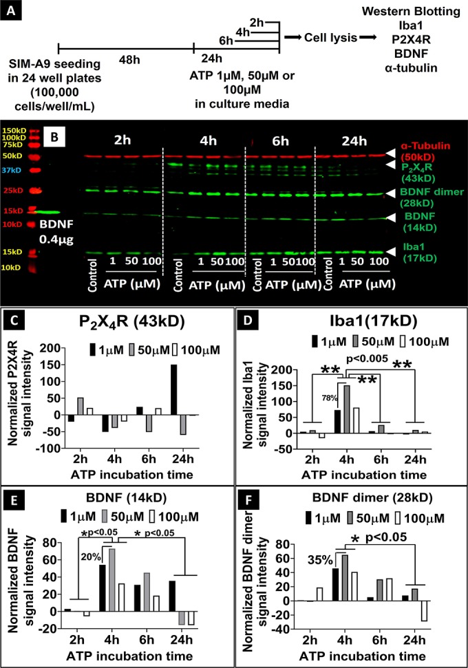 Fig 5