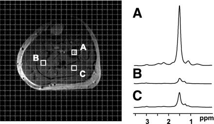 FIG. 7.