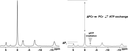 FIG. 5.