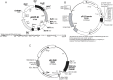 Supplementary Fig. 1