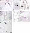 Fig. 5