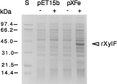 FIG. 5