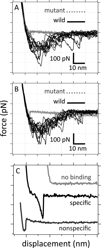 FIG. 1.