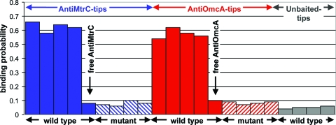 FIG. 2.