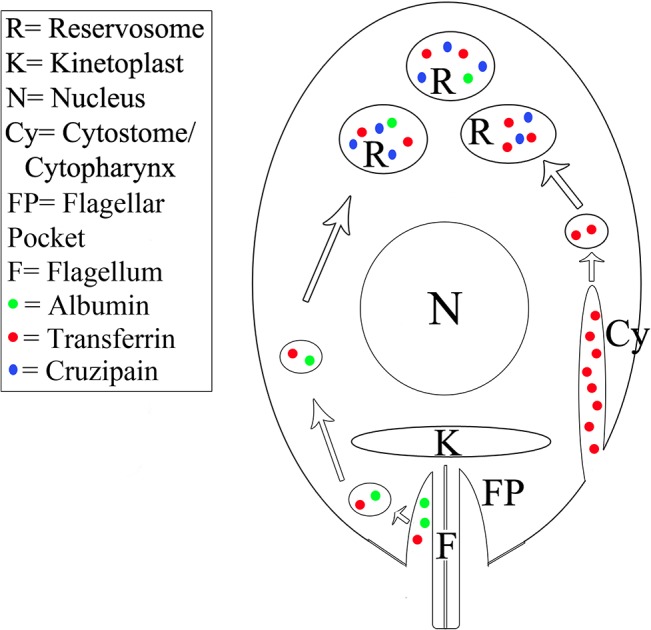 Fig 8