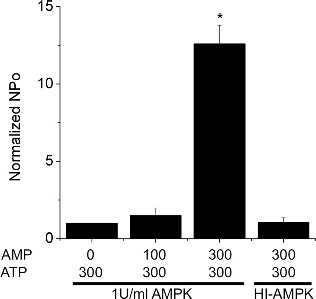 Fig 5