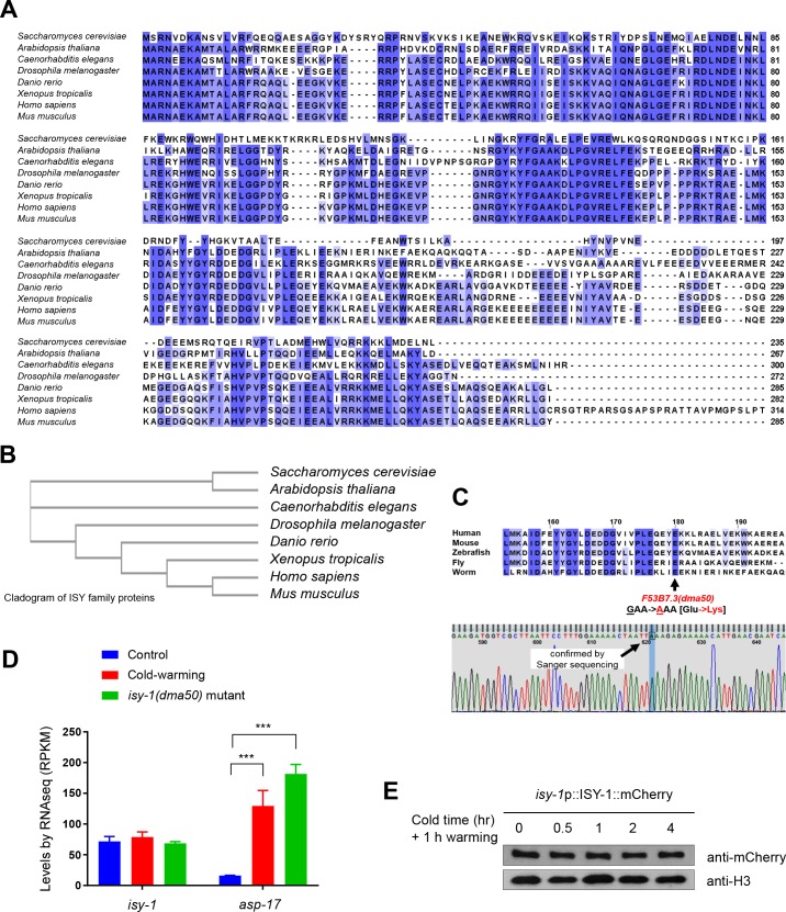 Figure 2—figure supplement 2.