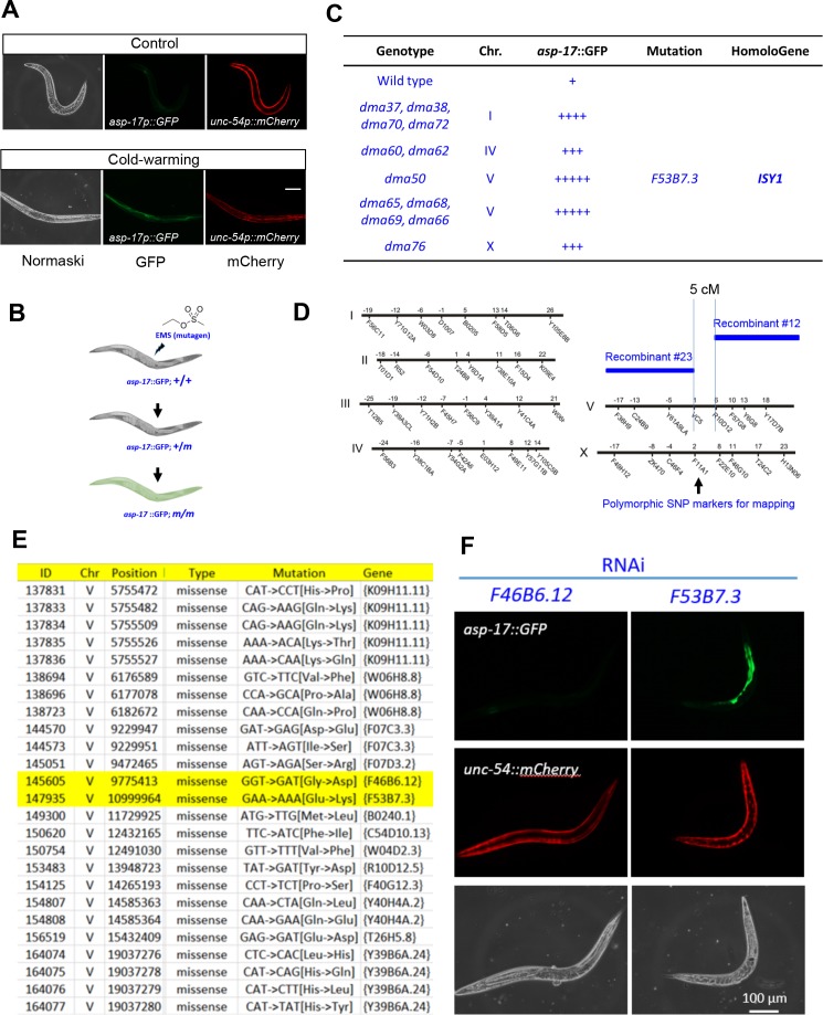 Figure 2—figure supplement 1.