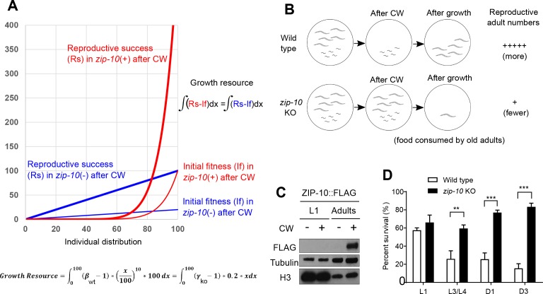 Figure 5—figure supplement 2.