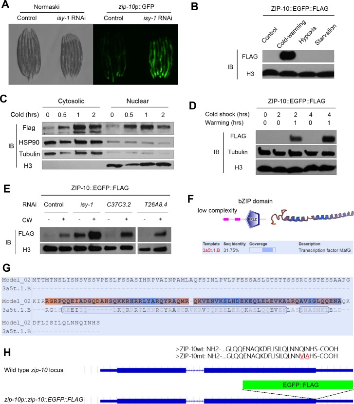 Figure 3—figure supplement 2.