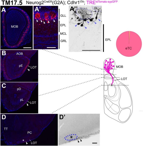 Figure 10.