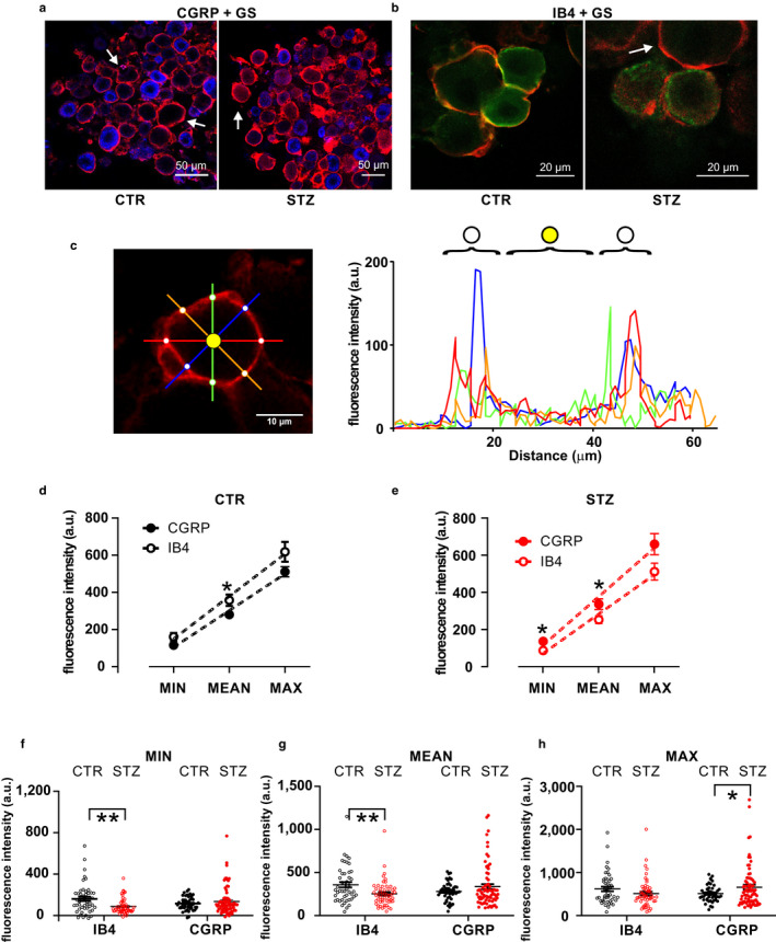 FIGURE 3