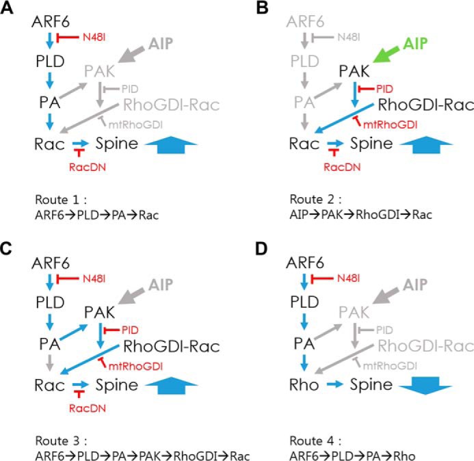 FIGURE 7.