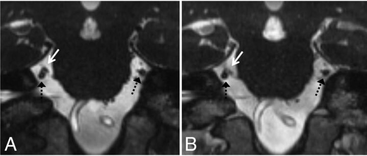 Fig 1.