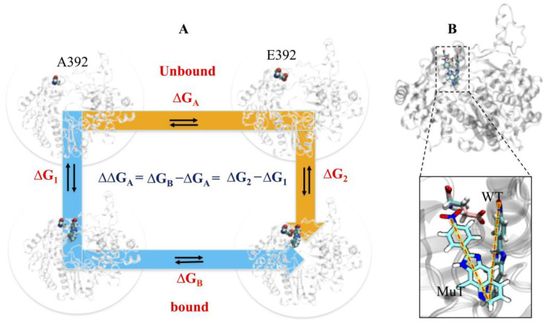 Figure 9