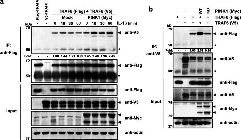 Fig. 3