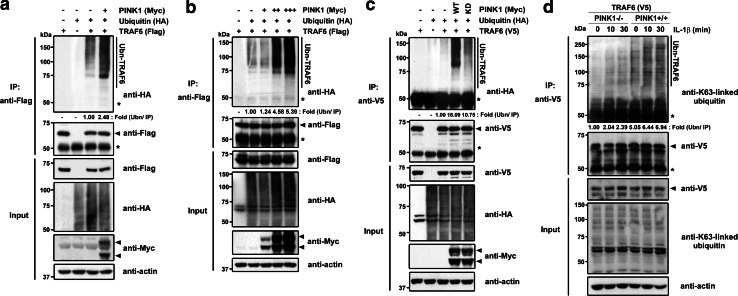 Fig. 4