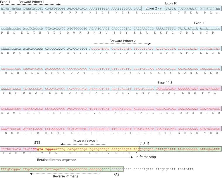 Figure 1—figure supplement 1.