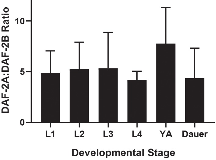 Figure 1—figure supplement 2.