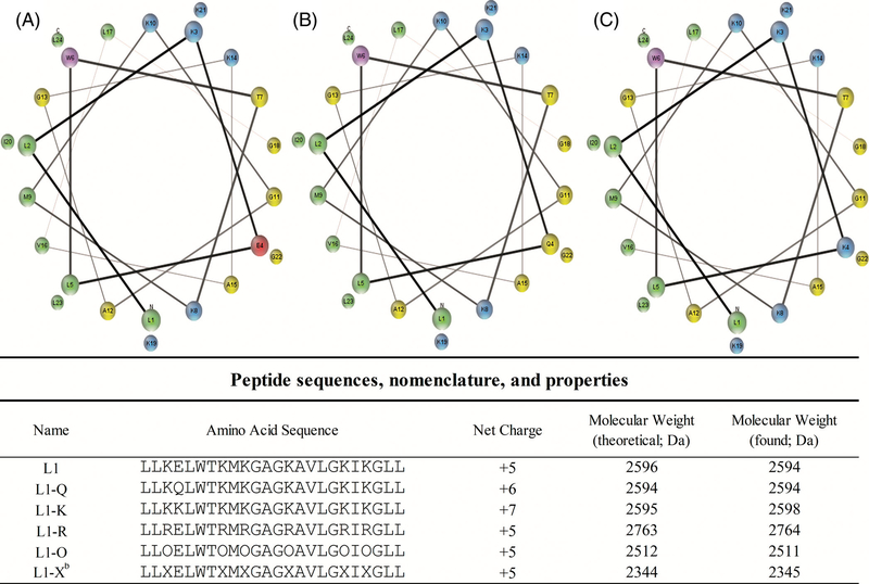 FIGURE 1