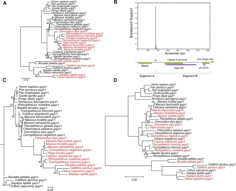 Fig. 7.