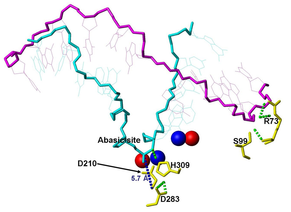 Figure 10