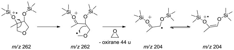 Scheme 2