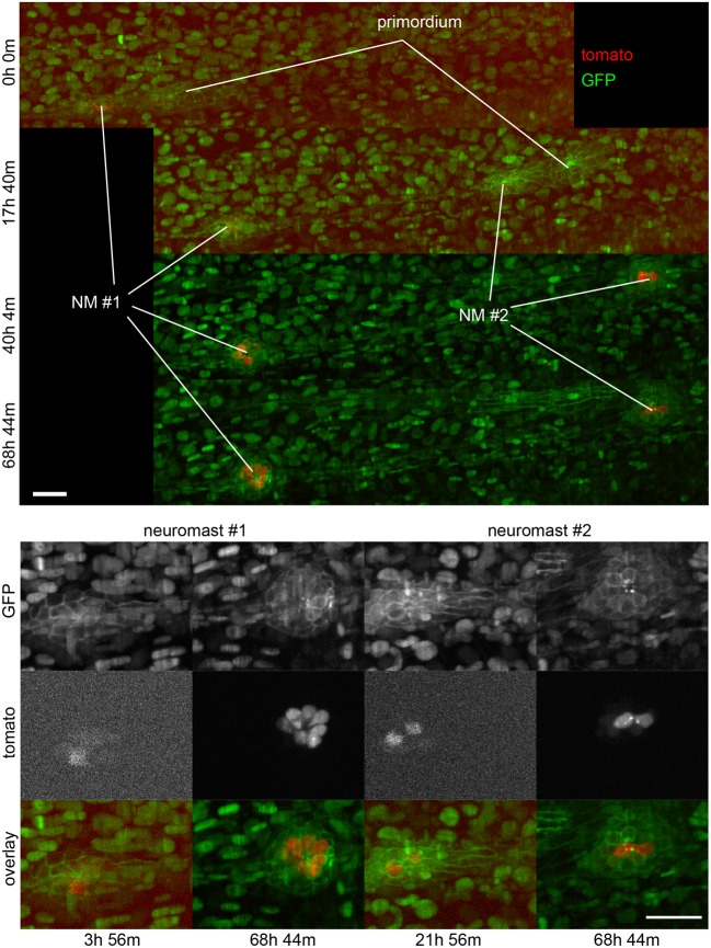 Figure 6