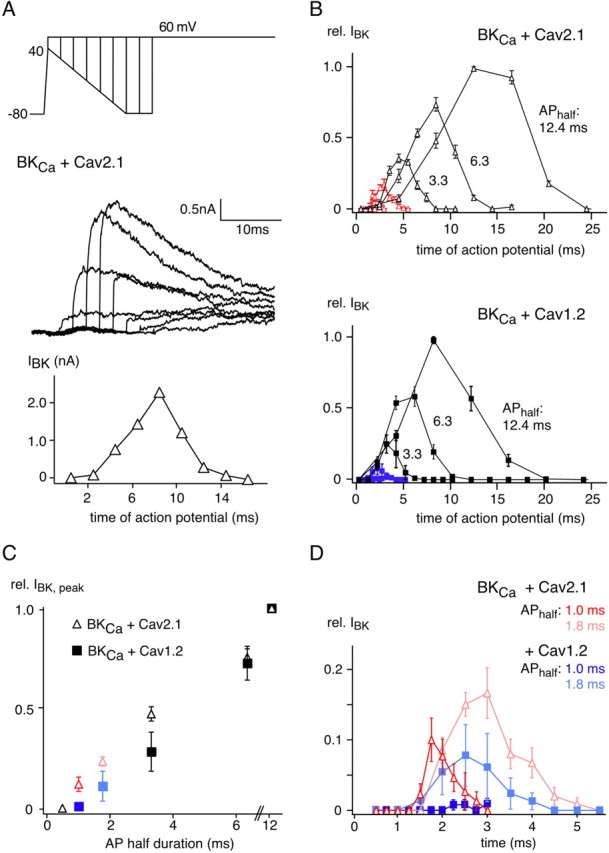 Figure 5.