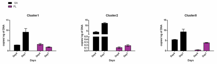 Figure 7