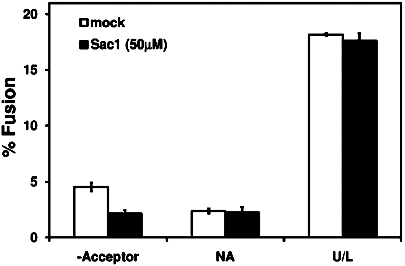 FIGURE 5: