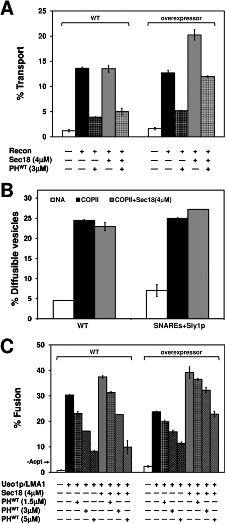 FIGURE 7: