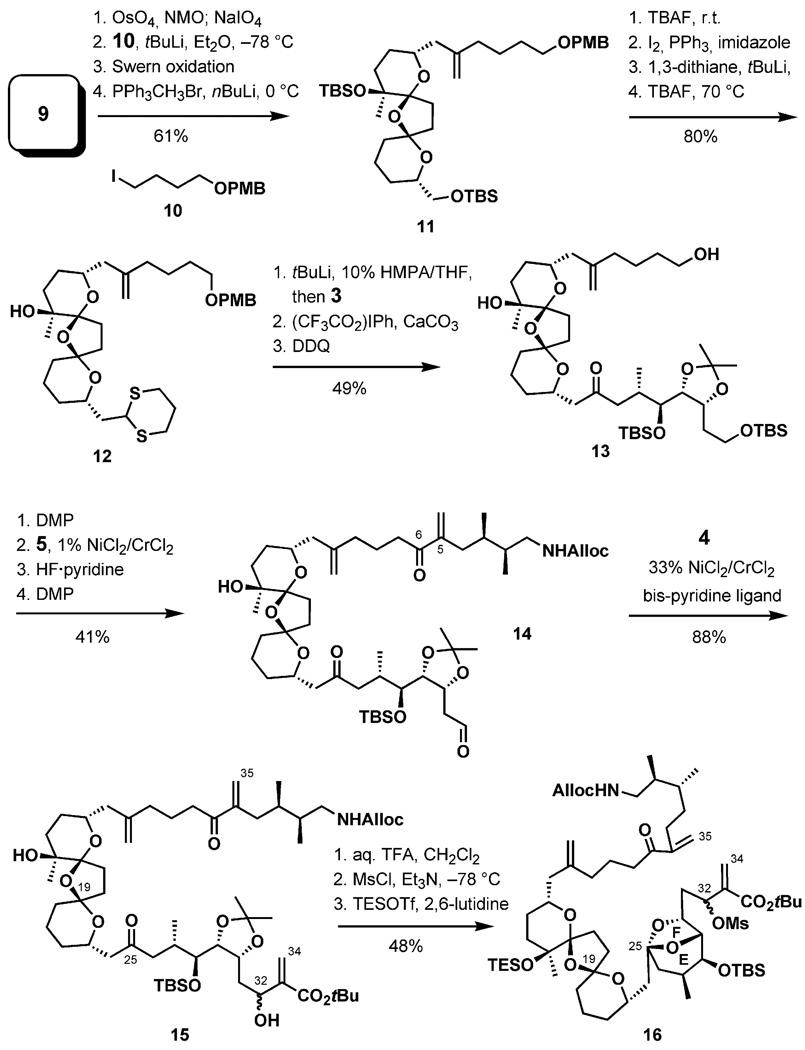 Scheme 3