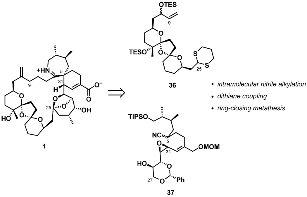 Scheme 9