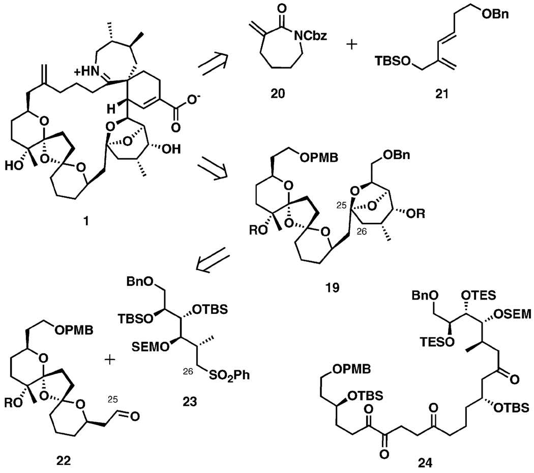 Scheme 5