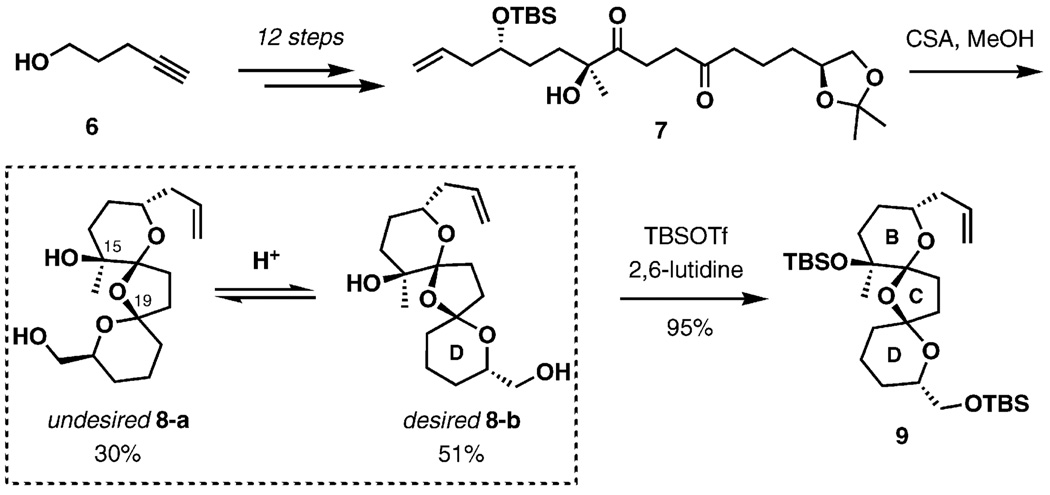 Scheme 2