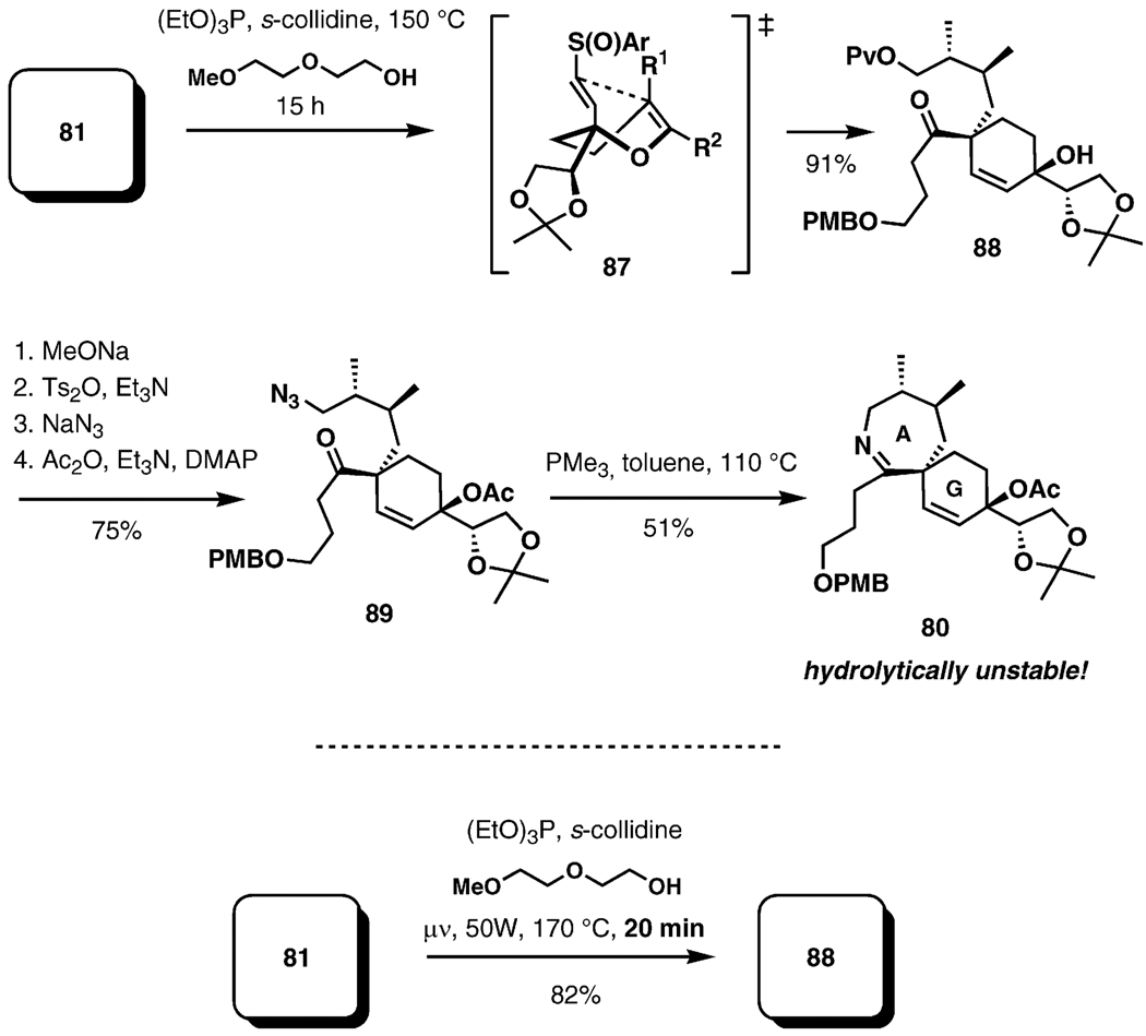 Scheme 19