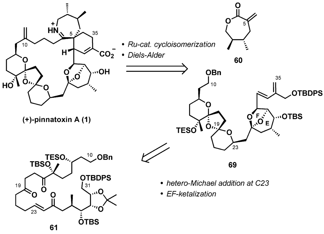 Scheme 13