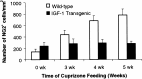 Fig. 9.