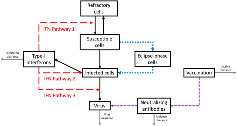 Fig. 1