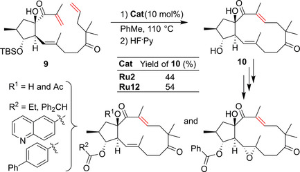 Scheme 6