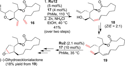 Scheme 8