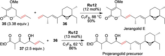 Scheme 15