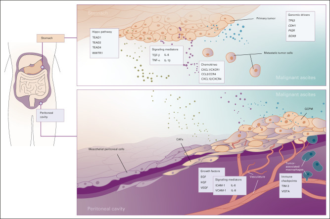 FIG 3.