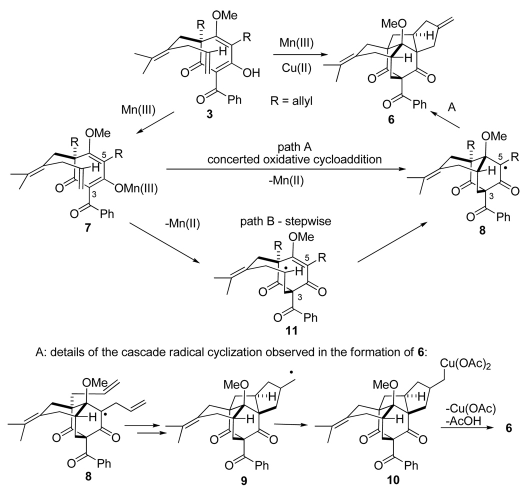 Scheme 3